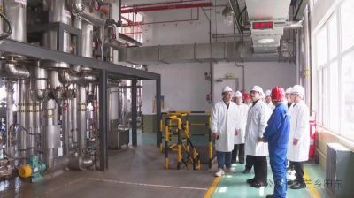 广西田东县委书记欧阳可爽一行来公司考察洽谈